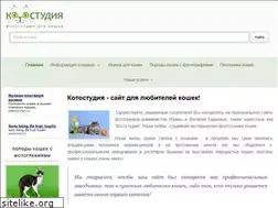 Sites similar to kotostudio.ru