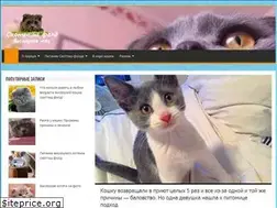 Sites similar to kotsf.ru