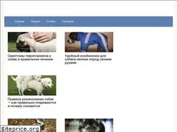 Sites similar to kotsobaka.com