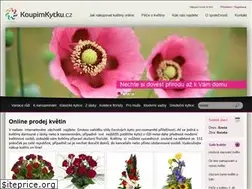 Sites similar to koupimkytku.cz