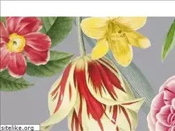 Sites similar to kouzaikaori.com