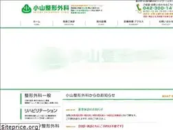 Sites similar to koyama-seikei.com