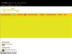Sites similar to koycegizbaldukkani.com