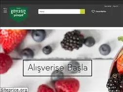 Sites similar to koycegizyoresel.com
