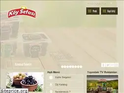 Sites similar to koysefasi.com