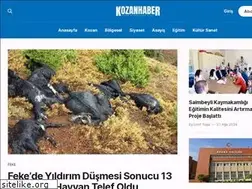 Sites similar to kozanhaber.com