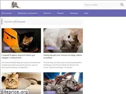 Sites similar to kozhakoshek.com