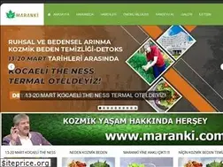 Sites similar to kozmikbedentemizligi.com