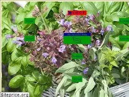 Sites similar to kraeuter-palm.de