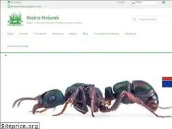 Sites similar to kraina-mrowek.pl