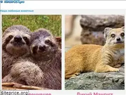 Sites similar to krasivosti.pro