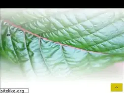 Sites similar to kratomeye.com