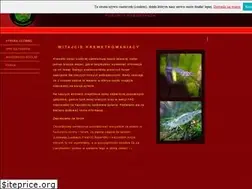 Sites similar to krewetki.org