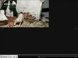Sites similar to krippenausstellung.golavision.com