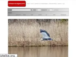 Sites similar to kristen-images.com