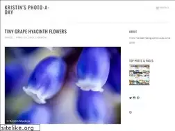 Sites similar to kristin2008.wordpress.com