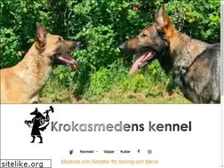 Sites similar to krokasmeden.com