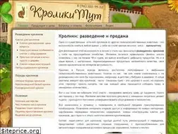 Sites similar to krolikityt.ru