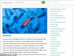 Sites similar to kromozom.gen.tr