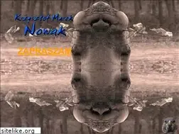Sites similar to krzysztofnowak.pl