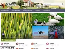 Sites similar to kselu.ru