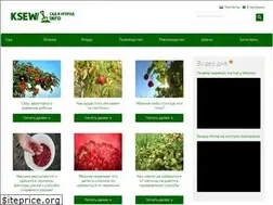 Sites similar to ksew.info