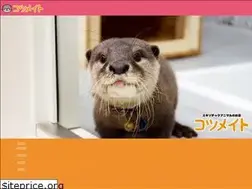 Sites similar to ktm-kawaii.com