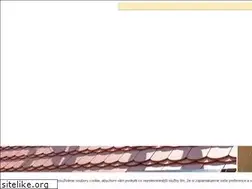 Sites similar to kubeso.cz