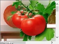 Sites similar to kuchnia-polska.net