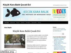 Sites similar to kucukkarabalikcocukevi.com