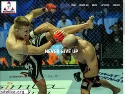 Sites similar to kudokai.ro