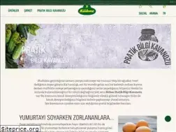 Sites similar to kuehne.com.tr