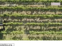 Sites similar to kuhlmancellars.com