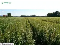 Sites similar to kuiperveendam.com