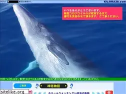 Sites similar to kujira28.com