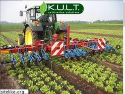 Sites similar to kult-kress.com