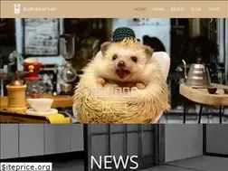Sites similar to kumaserver.jp