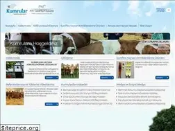 Sites similar to kumrular.com.tr
