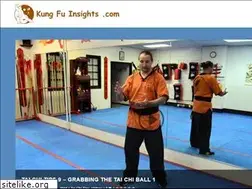 Sites similar to kungfuinsights.com