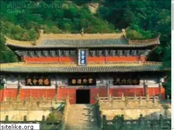 Sites similar to kungfumexico.com