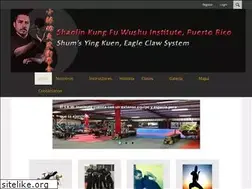 Sites similar to kungfupr.com