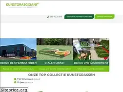 Sites similar to kunstgrasgigant.nl