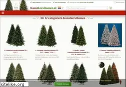 Sites similar to kunstkerstbomen.nl
