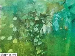Sites similar to kunstschoen.de