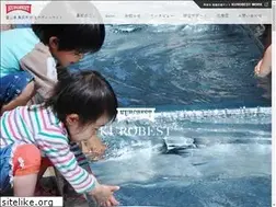 Sites similar to kurobeiju.com