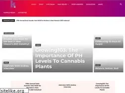 Sites similar to kurplemagazine.com