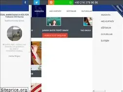 Sites similar to kurtkoyamerikankultur.com