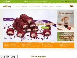 Sites similar to kurtuluskuruyemis.com.tr