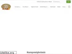 Sites similar to kurucarsi.com