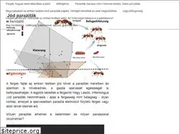Sites similar to kuruczporta.hu